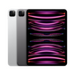 iPad Pro 11in (4th Gen)