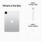 iPad Pro 11in (4th Gen)
